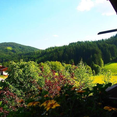 Appartment Kainhofer Sankt Martin am Tennengebirge Εξωτερικό φωτογραφία