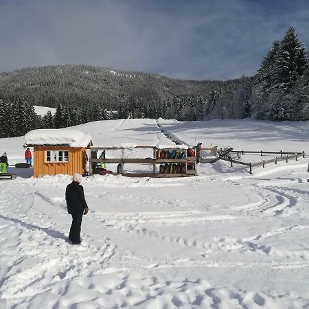 Appartment Kainhofer Sankt Martin am Tennengebirge Εξωτερικό φωτογραφία