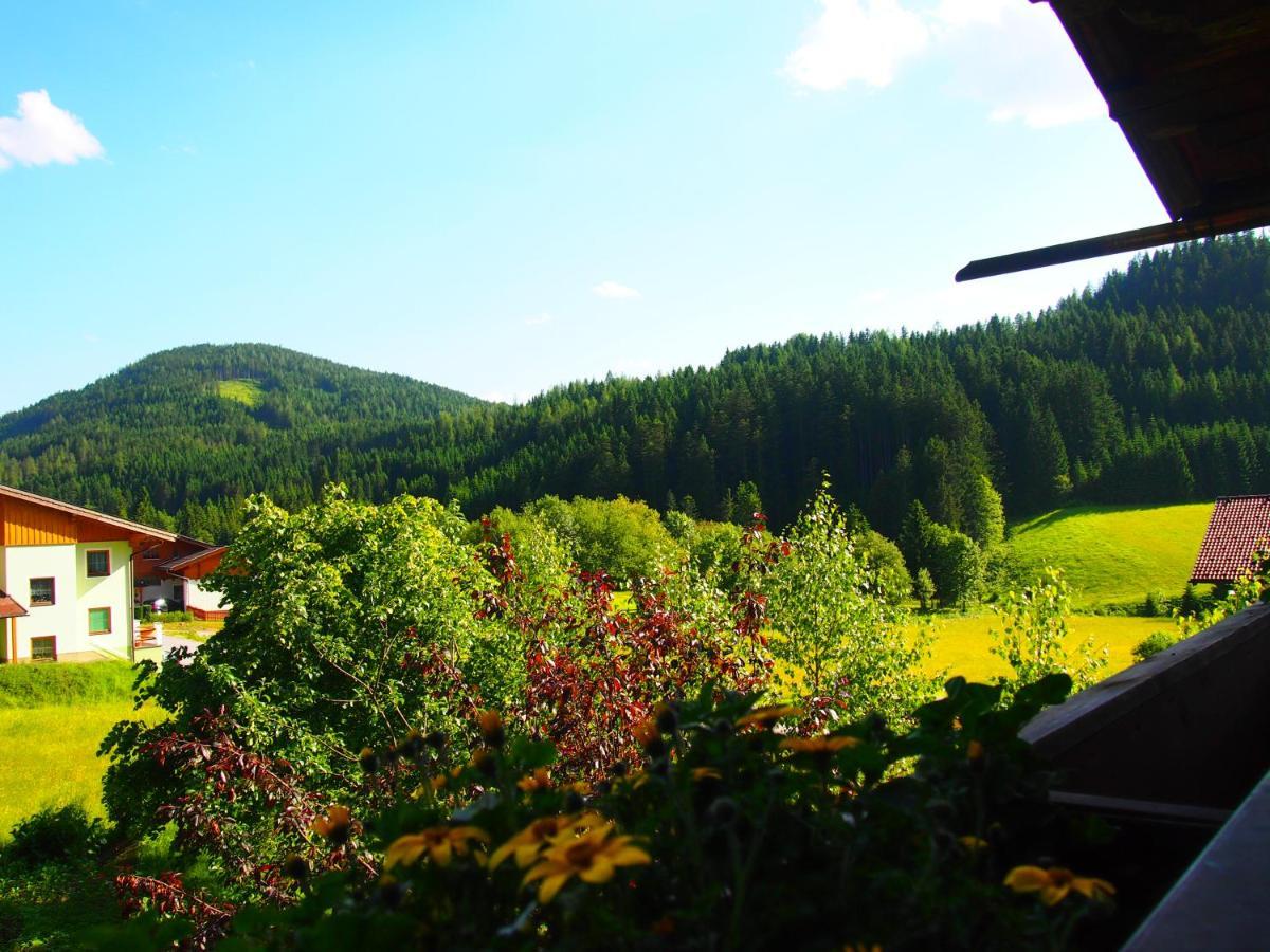 Appartment Kainhofer Sankt Martin am Tennengebirge Εξωτερικό φωτογραφία