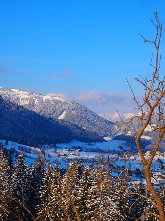 Appartment Kainhofer Sankt Martin am Tennengebirge Εξωτερικό φωτογραφία
