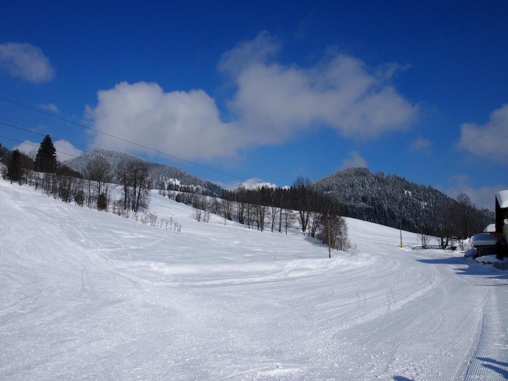 Appartment Kainhofer Sankt Martin am Tennengebirge Εξωτερικό φωτογραφία